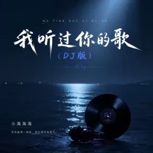 我听过你的歌(DJ版)