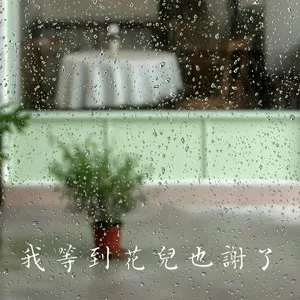 我等到花儿也谢了 (迷失的歌)