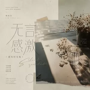无言感激(港风时光版)