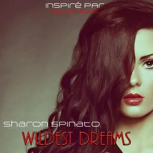 Wildest Dreams(Remixed)
