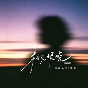 相见恨晚(DJ版)