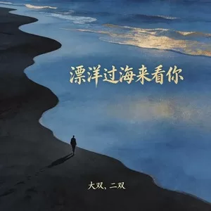 漂洋过海来看你(电吉他)