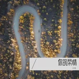 你的柔情