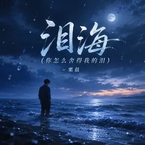 泪海(你怎么舍得我的泪)