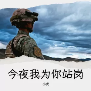 迷彩的岁月交响乐版