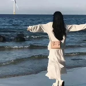 智斗进行曲(顶级感受)