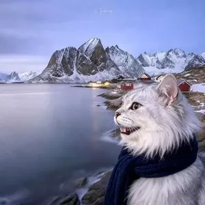Holy Moly（严成玹进行曲）