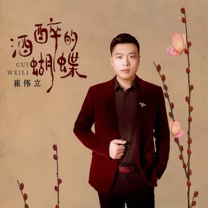 酒醉的蝴蝶(DJ版)