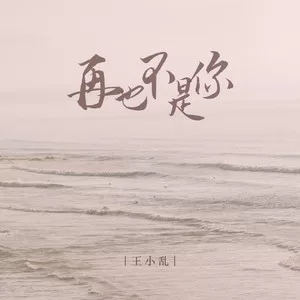 再也不是你(DJ光波版)