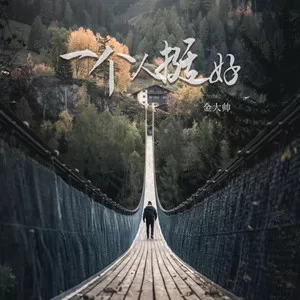 一个人挺好(DJ版)