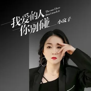 我爱的人你别碰(DJ默涵版)