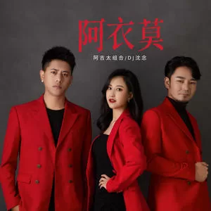 阿衣莫(DJ沈念版)