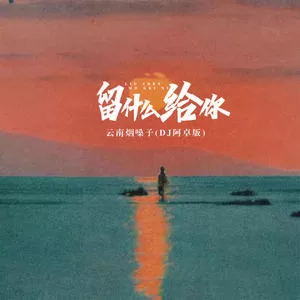 留什么给你(DJ阿卓版)