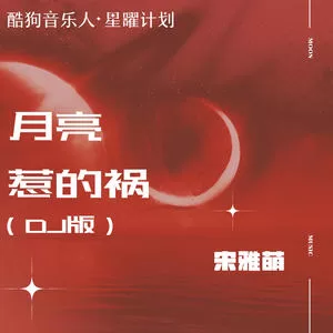 月亮惹的祸(DJ版)