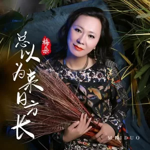 总以为来日方长(DJ默涵版)