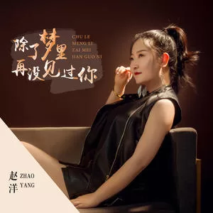 除了梦里再没见过你(DJ版)