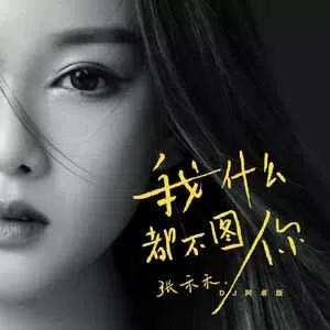 我什么都不图你(DJ阿卓版)