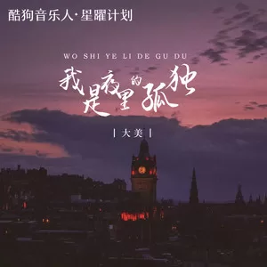我是夜里的孤独(DJ九锐版)
