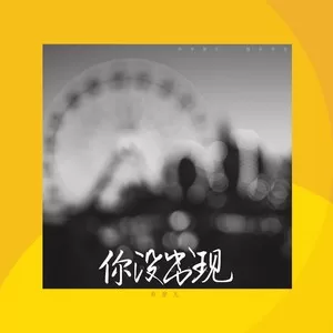 你没出现（DJheap九天版）