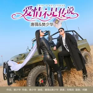 爱情不是传说(DJ何鹏版)