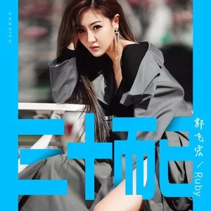 三十而已（DJ武圣雄版）