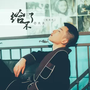 给不了你未来(DJ版)