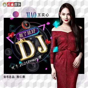 散了就好(DJ沈念2021Remix版)
