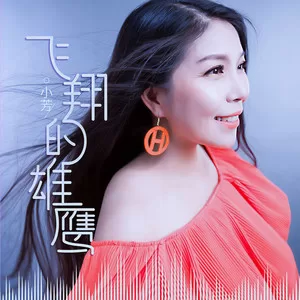 飞翔的雄鹰(DJ花哨版)