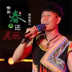 你比春天还美丽(DJ何鹏版)