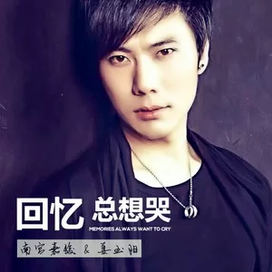 回忆总想哭(Remix)