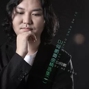 你的无情伤了我的心(DJ版)