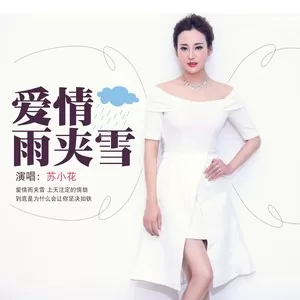 爱情雨夹雪（DJ何鹏版）
