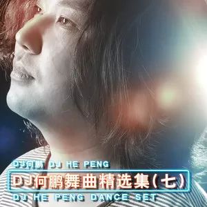 我不怪你也不会恨你(DJ版)