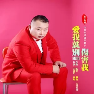 爱我就别伤害我(DJ版)