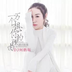 一万个想你的理由(DJ何鹏版)