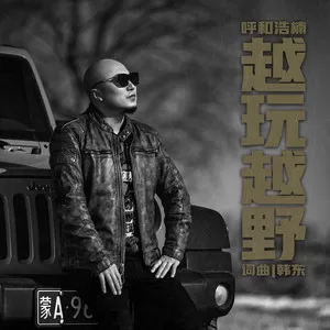 越玩越野(DJ 阿卓remix)