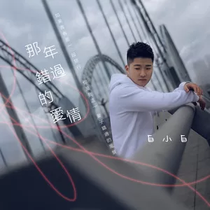 那年错过的爱情(DJ版)