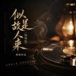 似是故人来(烟嗓版)
