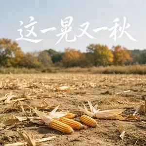 这一晃又一秋（岁月不肯停留）