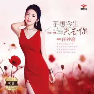 不想今生失去你(DJ何鹏版)