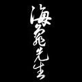海龟先生