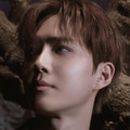 수호
