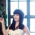 赵容