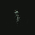 NF
