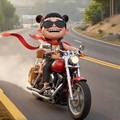 闲云野鹤